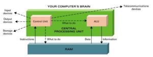 Understanding the Role of CPU RAM and GPU in Your System