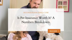 Pet Insurance Is It Worth the Investment