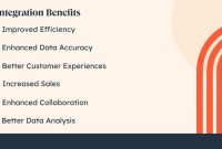 Integrating Business Intelligence with CRM Systems