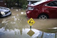 How to Avoid Buying a Flood Damaged Used Car
