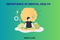Importance of Mental Health in Daily Life