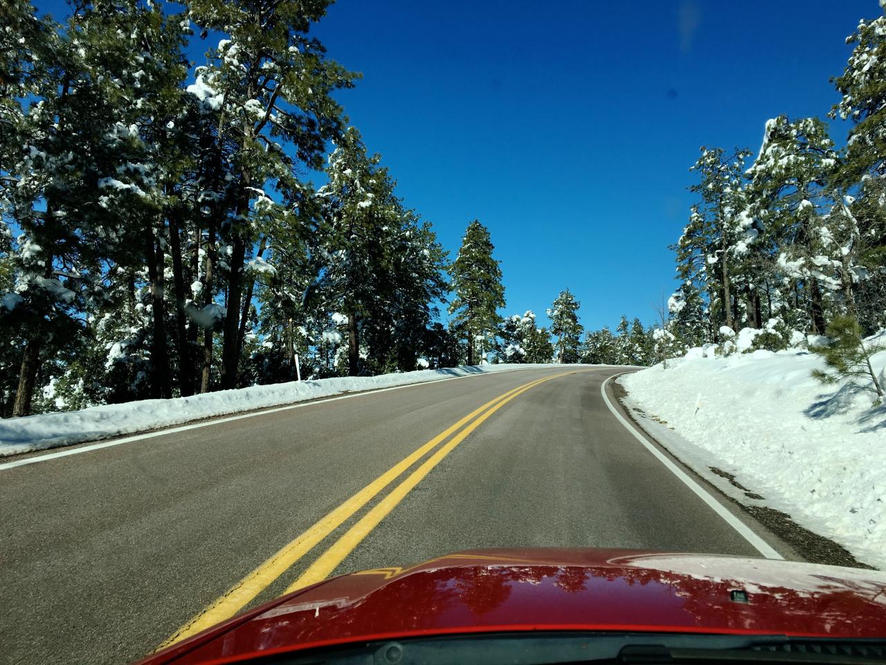 Free Images : tree, snow, car, driving, vehicle, lane, season, road ... Driving Accessory Sales Through Influencer and Social Media Campaigns